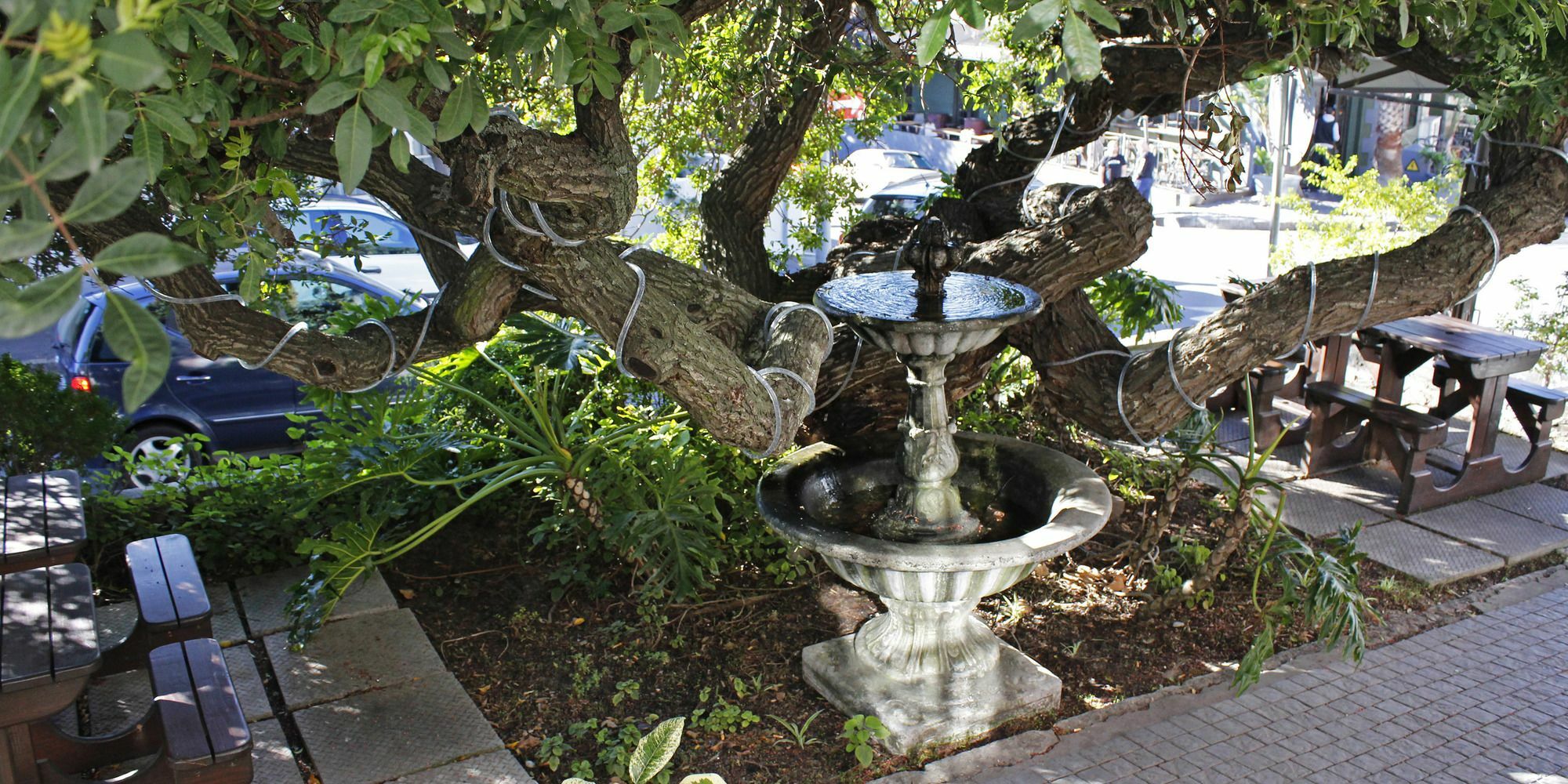 Dixon House In De Waterkant By Cape Finest เคปทาวน์ ภายนอก รูปภาพ